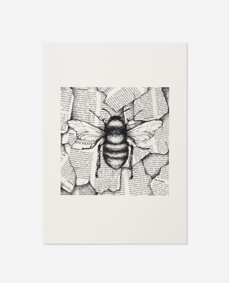 The Sculpts - Newspaper Bee PRINT A4