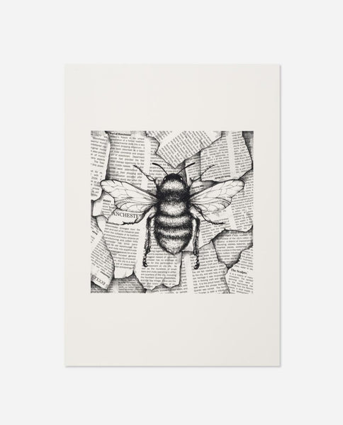 The Sculpts - Newspaper Bee PRINT A4